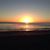 Debbie Binelli's profile image