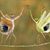 Betty Mitchell Gilkey's profile image