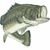 Caroleen Hobbs Mroz's profile image