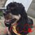 Stephanie Albritton McKenna's profile image