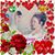 Diane M Mollica's profile image