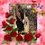 Esther Lesi's profile image