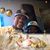 Andre Guru Williams's profile image