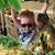 Melody Hawthorne Chronister's profile image