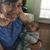 Evelyn Rice's profile image