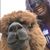 Nicki Nanton's profile image