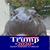 Tamara Martin-Rodriguez's profile image