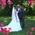 Laurie Ritchey Siddall's profile image