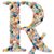 Ray Casimir's profile image