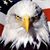 Lisa D Hunt's profile image