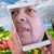Anabel Murillo's profile image