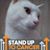 Shonnon Guest's profile image