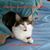 Patty Schaffner's profile image