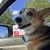 AnnMarie Rochelle's profile image