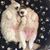 Tracey Bracken's profile image