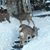 Deniece Warner McCormick's profile image