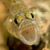 Michele Harris's profile image