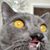 Kendra Kamph's profile image