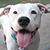 Cathy Threadingham's profile image