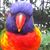 Fernando Casas's profile image