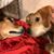 Amy Szydlowski-Farroll's profile image