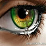 Tillie M.'s profile image