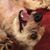 Hunter Bloom's profile image