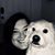Allison J. Hilliard's profile image