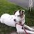 Vivian Grillo's profile image