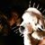 Carly Sorchy's profile image