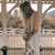 Mary Whitt Lyle's profile image