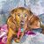 Wanda Slothower's profile image