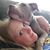 Nicki Klingenberg's profile image