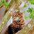 Robbi Ingersoll Kerkow's profile image