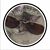 Kelly Swensgard's profile image
