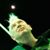 Dallas Kachan's profile image
