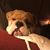 Gina Eagan-Moore's profile image