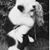 Jhazzhier Elissa's profile image