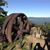 Kim Lowney Morris's profile image