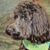 Linda Kiser Fritts's profile image