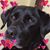 Sandi Livesey's profile image