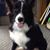 Debbie King's profile image
