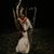 Amber Aakre's profile image