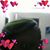 Shantell Lutin's profile image