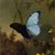 Linda Johnson's profile image