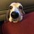 Dana Landrum's profile image