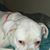 Julie Ann Cashman Stevenson's profile image