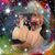 Doreen Zywocinski's profile image