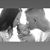 Brooke Boynton's profile image