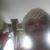 Alana Gilliam's profile image
